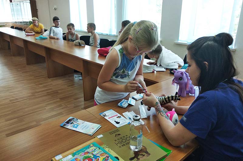 Блиц-игра «От мышки до кошки»