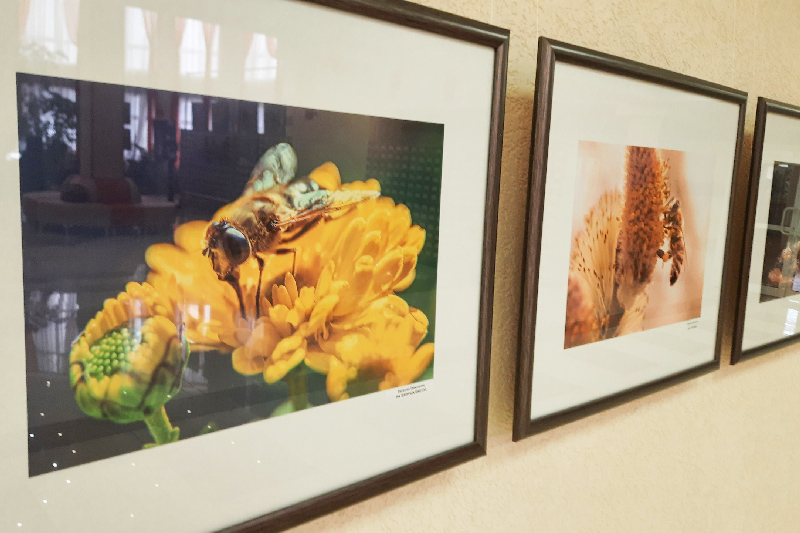 ГБУК РК Крымская республиканская универсальная научная библиотека им. И. Я. Франко